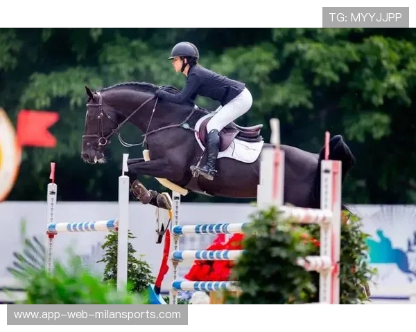 马术障碍赛名将摔下马仍坚强完赛，精神感动观众